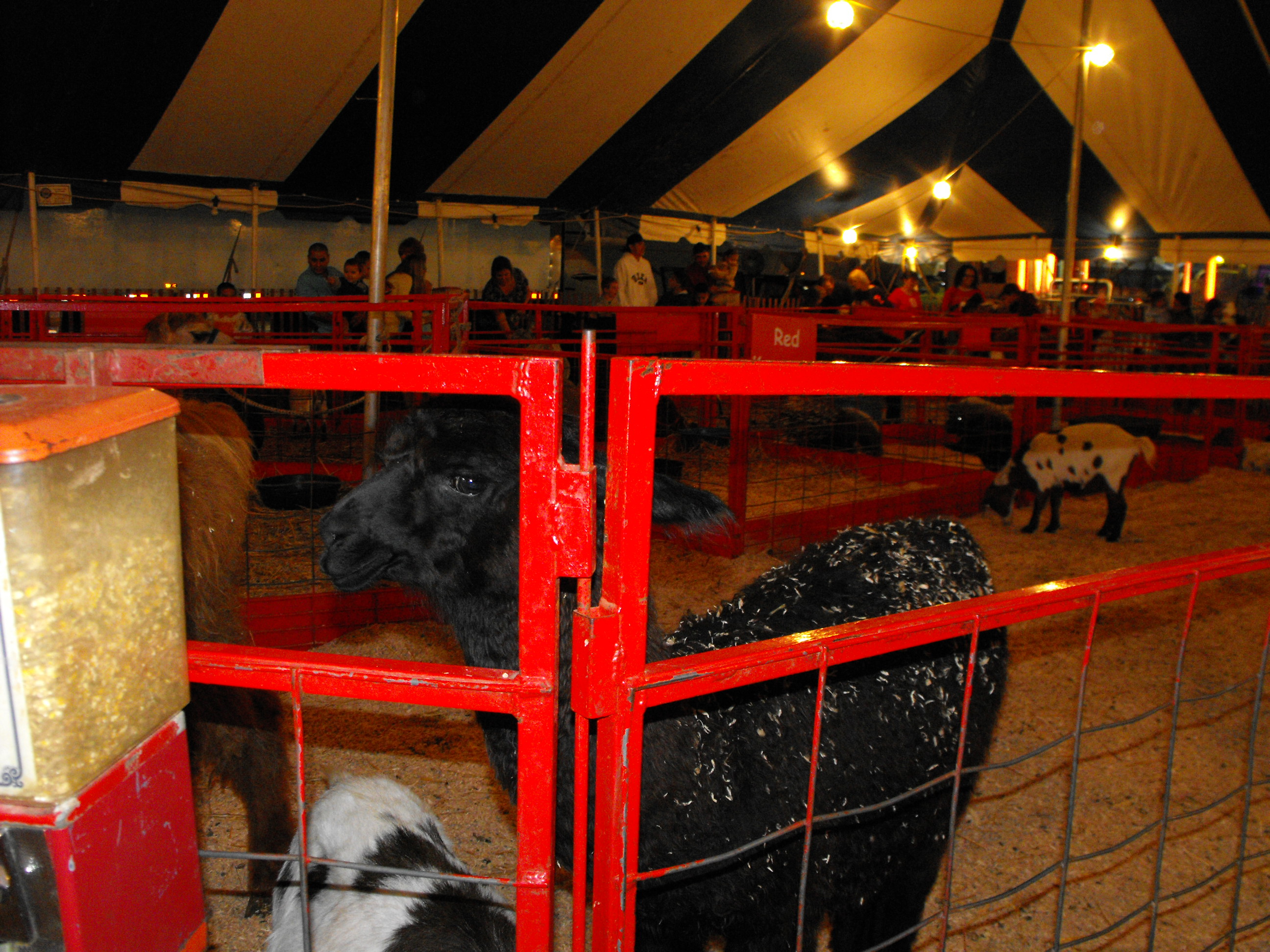 ./2009/State Fair/State Fair pt 1 0136.JPG